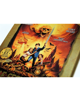 El secreto del lago - Steelcase dvd/bd