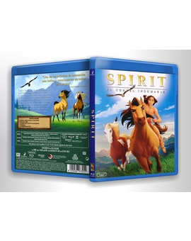 SPIRIT - Custom Cover