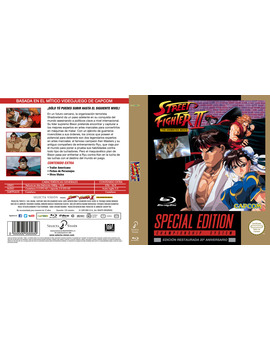 STREET FIGHTER II ANIMATED MOVIE CUSTOM COVER V2