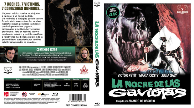 LA NOCHE DE LAS GAVIOTAS (Custom Cover)