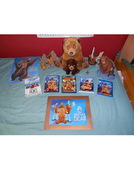 Colección Hermano Oso