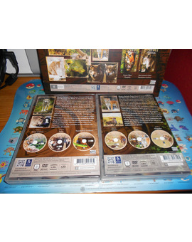 Pack Safari 2