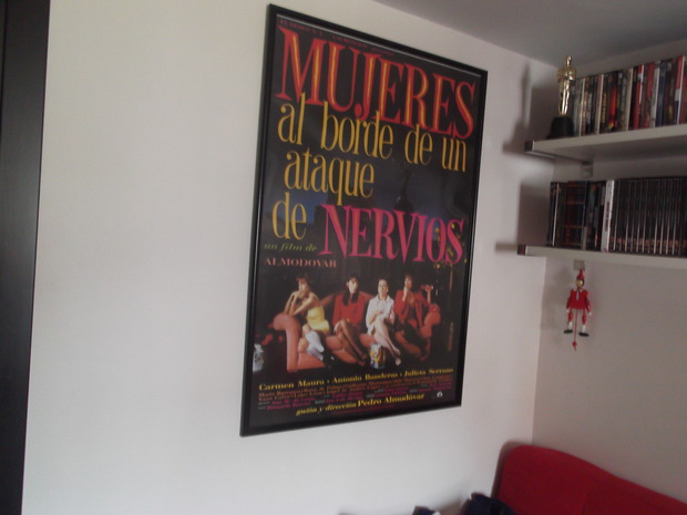 Los cuadros de mi casa (Mujeres al borde...)