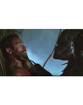 ¡YA SABEMOS SI ARNOLD SCHWARZENEGGER ESTARÁ EN LA NUEVA “DEPREDADOR”!