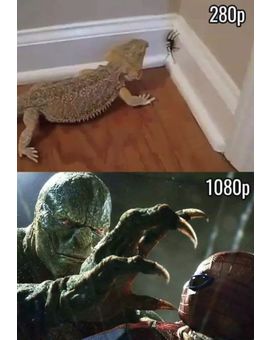 Un poco de Humor para empezar la semana!