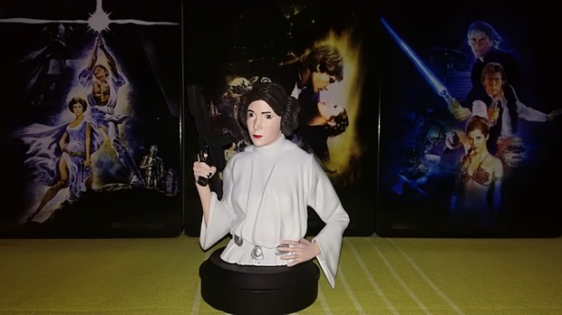 Leia Busto Collection!