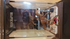 Mi-ultima-adquisicion-diorama-mini-jp-raptors-c_s