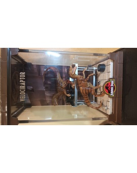 Mi última adquisición. (Diorama Mini, Vitrina JP Raptors)