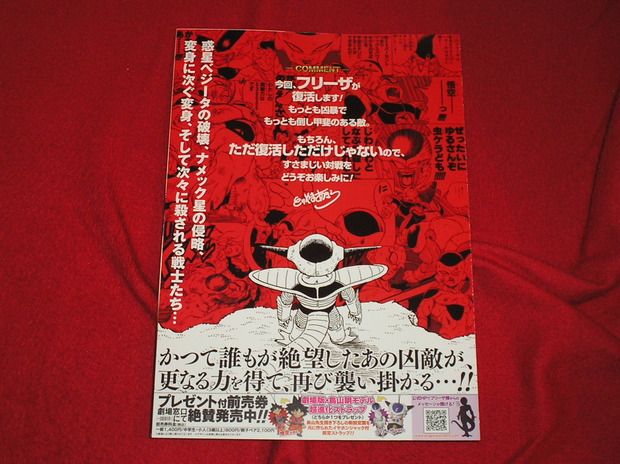 flyer japones foto 3.