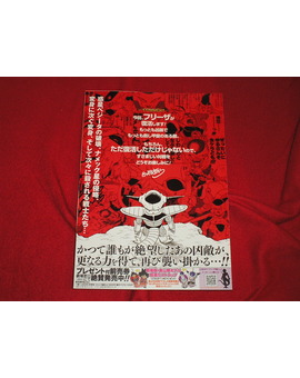flyer japones foto 3.