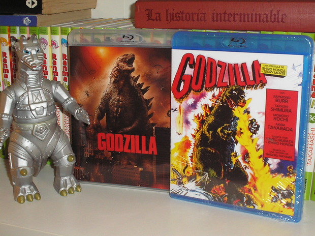 Hoy no tengo que hacer, y una sesión del lagarto me espera.