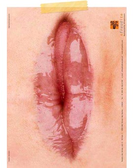 Cuales son vuestras películas eróticas preferidas o recomendarías?