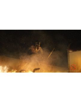Vuelven las pelis de Dinosaurios de serie B.