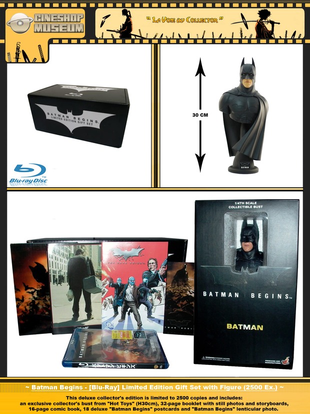 Batman Begin Limited Edition (Japan)