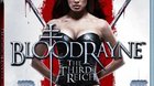 Bloodrayne-3-the-third-reich-c_s