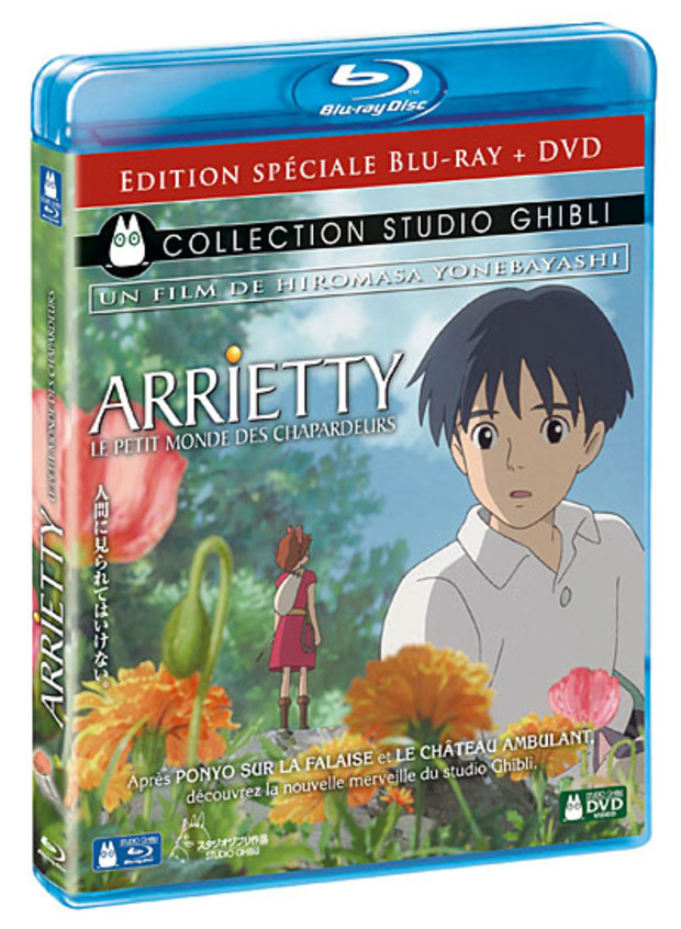 Arrietty : Le petit monde des chapardeurs - Combo Blu-Ray + DVD (Francia)