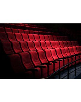 A que cine suelen ir? y que precio pagan por las entradas.