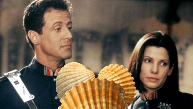 Por fin saldremos de dudas con el funcionamiento de "Las tres conchas".