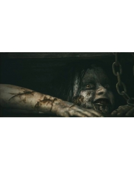 Que película de TERROR esperas con mas ansia para el 2013?