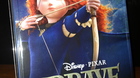 Brave-steelbook-c_s