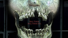 Poster-de-the-amityville-asylum-c_s