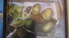 Hulk-foros-10-08-2012-c_s