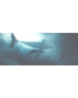 ¿Aquaman en El Hombre de Acero?