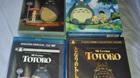 Mi-vecino-totoro-coleccion-karasuma-c_s