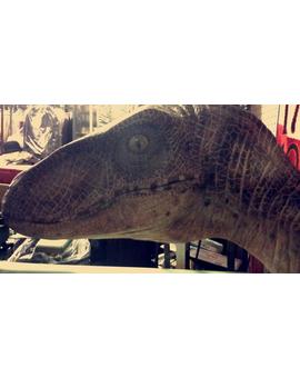 Nueva foto de uno de los Velocirraptors de Jurassic World