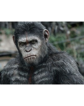 Cesar ¿Lo veis liderando una guerra contra los humanos?