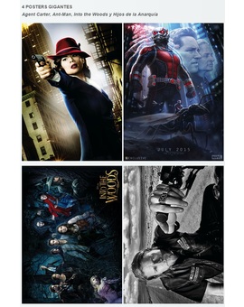 Posters ACCION CINE Febrero 2015