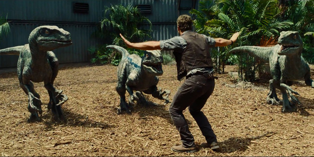 Los 17 dinosaurios que veremos en JURASSIC WORLD. Velocirraptors 