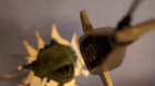 El-trailer-de-jurassic-world-con-un-presupuesto-de-20-dolares-c_s