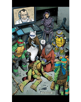 Adiós a una Tortuga Ninja