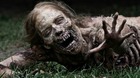 Cual-deberia-ser-la-vida-util-mas-real-de-un-zombie-c_s