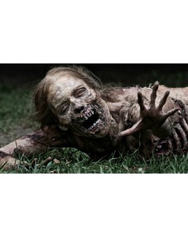¿cual deberia ser la vida util "mas real" de un zombie?