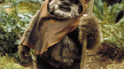 Star-wars-el-despertar-de-la-fuerza-volvera-a-interpretar-warwick-davis-al-ewok-wicket-c_s