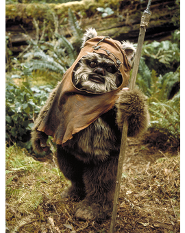 'Star Wars: El despertar de la Fuerza': ¿Volverá a interpretar Warwick Davis al ewok Wicket?