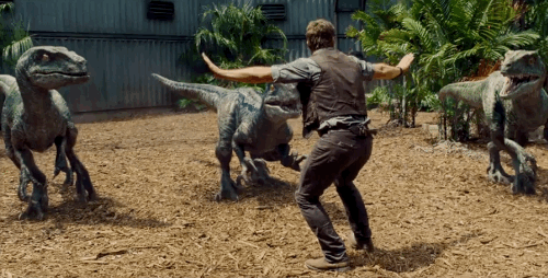Cuidadores de zoológicos recrean escena de “Jurassic World” con #Prattkeeping