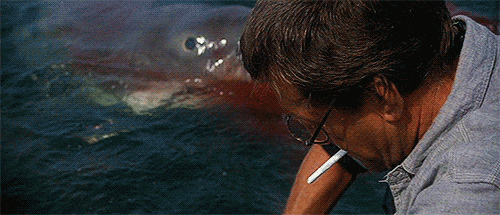 Tiburon. ¿cual es vuestra escena favorita de la pelicula?