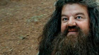 Harry-potter-por-que-hagrid-no-puede-producir-un-patronus-c_s