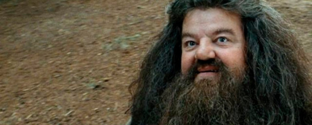 'Harry Potter': ¿Por qué Hagrid no puede producir un Patronus?