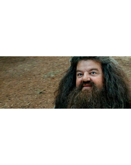 'Harry Potter': ¿Por qué Hagrid no puede producir un Patronus?