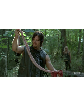 The Walking Dead: Debate del 6x06 (SPOILERS)