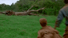 Un-gif-bastante-gracioso-que-me-he-encontrado-de-jurassic-park-c_s