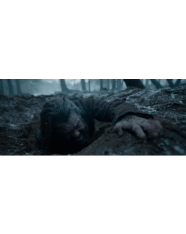 fisicamente ¿Es posible? (spoilers de el renacido)