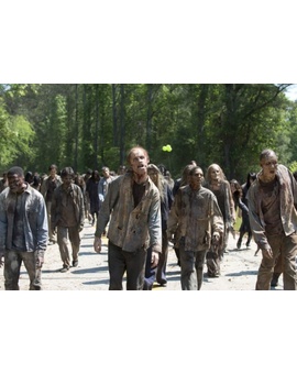 ¿Cuánta gente sigue viva en el mundo de ‘The Walking Dead’?