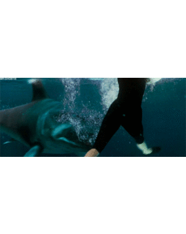 Debate: Los Tiburones en el cine ¿Que películas recomandais ver y cuales no de esta temática?