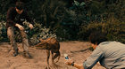 Las-peores-imitaciones-de-jurassic-park-c_s