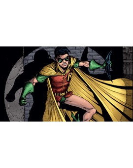 ¿Os gustaria una película del personaje de Robin en solitario?